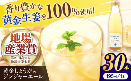 黄金しょうがのジンジャーエール30本 / 土佐生姜 スパークリング ジンジャーエール 爽やか【はるのTERRACE】[ATAV003]