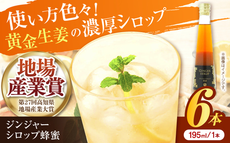 ジンジャーシロップ蜂蜜 6本 / 土佐生姜 ほっこりジンジャー[はるのTERRACE][ATAV007]