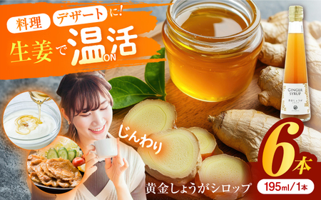黄金しょうがシロップ6本/ 土佐生姜 ほっこりジンジャー[はるのTERRACE][ATAV008]