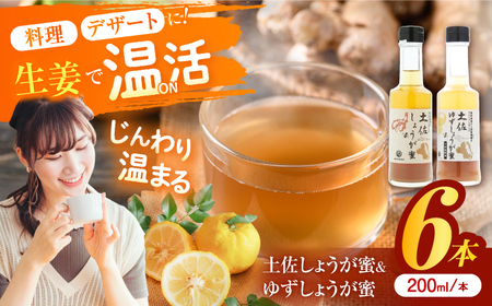 土佐しょうが蜜・ゆずしょうが蜜6本セット/ 土佐生姜 ほっこりジンジャー[はるのTERRACE][ATAV011]