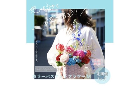 [3回定期便]季節の生花カラーバスケットフラワーM / お花 フラワー カラーバスケット アレンジ 映える リビング 装飾 作家もの カゴ 定期便 人気 季節生花 収納 ハイセンス ギフト 高知[株式会社tomoni][ATCG059]