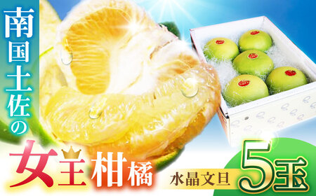 썑y̏k U 3kg 5ʓq2025N9{?2025N12{r/ U Ԃ񂽂 t[c ʕ 3L myt[cVbvIULz [ATAH008]