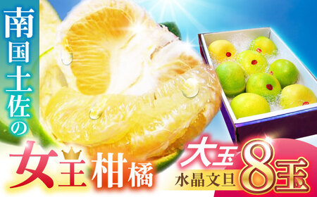 썑y̏k U 5kg 8ʓq2025N9{?2025N12{r/ ʃTCY U Ԃ񂽂 t[c ʕ 5L myt[cVbvIULz [ATAH009]