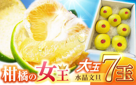 南国土佐の女王柑橘 水晶文旦 約5kg 7玉入り[2025年9月中旬〜2025年12月下旬頃発送]/ 大玉サイズ ぶんたん 文旦 フルーツ 高知名物 果物[フルーツショップオザキ] [ATAH010]