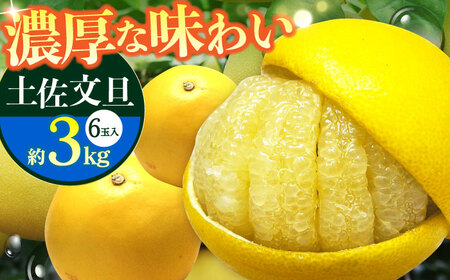 ys\z썑myU 3kg 6ʁq2025N11{?2026N2{r/ U Ԃ񂽂 t[c ʕ 3L m yt[cVbvIULz[ATAH012]