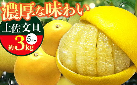 ys\z썑myU 3kg 5ʁq2025N11{?2026N2{r/ U Ԃ񂽂 t[c ʕ 3L myt[cVbvIULz [ATAH013]