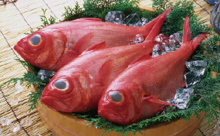 [2月中旬〜発送]高知産 天然 金目鯛 1.3kg〜1.5kg