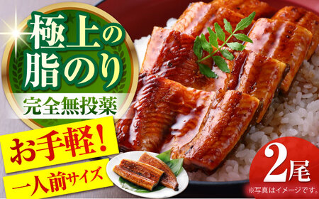 高知県産 うなぎ蒲焼き 約90g×2尾 タレ付き / うなぎ 鰻 ウナギ 国産うなぎ [株式会社 四国健商] [ATAF064]