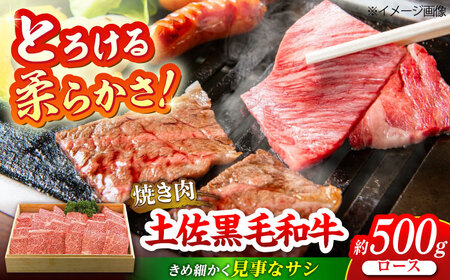 土佐黒毛和牛 ロース 焼き肉 約500g / とろけるやわらかさ 和牛 高知県産 国産和牛 牛肉 黒毛和種 [(有)蔵多堂][ATAE011]