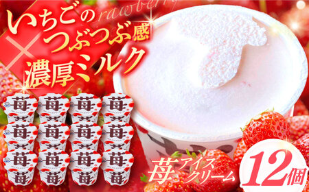 苺アイスクリーム 12個入 アイス 添加物不使用 [グレイジア株式会社] [ATAC218]