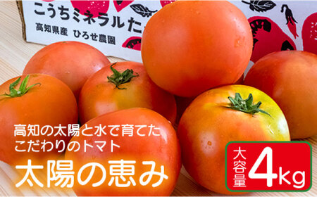 ��e��4kg ���m�̑��z�Ɛ��ň�Ă��������̃g�}�g�u���z�̌b�݁v!! �y������Ё@�H���z [ATCK001]