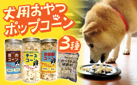 愛犬家のご自宅用にも・プレゼント用にもぴったり!「犬用おやつポップコーン」3種セット [ATCC001]