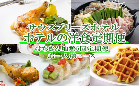 [ホテルメイドの洋食惣菜]土佐はちきん地鶏定期便!!年5回お届け[お一人様向け]_sb053