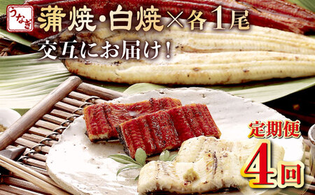 蒲焼き・白焼きを交互にお届け!国産うなぎ1尾[全4回定期便] _ うなぎ 鰻 ウナギ 1尾 国産 高知県産 蒲焼き 白焼き かばやき 冷凍 うな重 ひつまぶし タレ ランキング 人気 4回 定期便 [yj055]