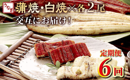 蒲焼き・白焼きを交互にお届け!国産うなぎ2尾[全6回定期便]_ うなぎ 鰻 ウナギ 2尾 国産 高知県産 蒲焼き 白焼き かばやき 冷凍 うな重 ひつまぶし タレ ランキング 人気 6回 定期便 [yj059]