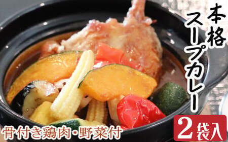 お家でスープカレー　ちと辛いぞね　２袋　惣菜 冷凍 おかず お手軽 鶏肉 とり 加工食品 5000円