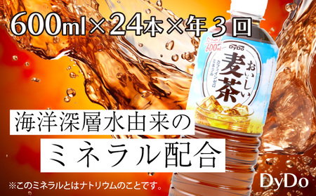 おいしい麦茶 3か月連続お届け 600ml×24本×3回 合計72本 DyDo ダイドー 麦茶 むぎ茶 カフェインゼロ お茶 飲料水 ペットボトル ドリンク 定期便 3ヶ月 送料無料 飲料 茶 飲料 茶 