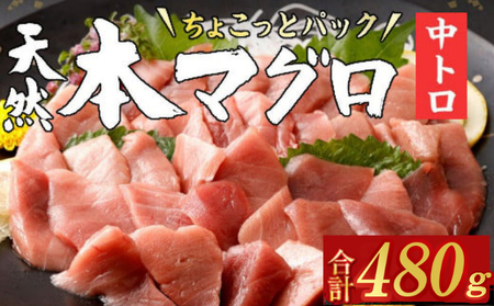 [お刺身ちょこっとパック] 天然本まぐろ 中トロ 切落し 480g 60g×8パック お手軽 食べきりサイズ 切り落とし お刺身 魚介類 海鮮 小分け 魚 天然まぐろ 魚貝 マグロ 高知県 簡単解凍 簡単調理 惣菜