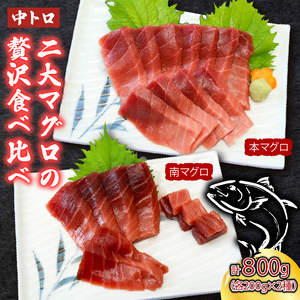 厳選天然本まぐろ・天然南まぐろ中トロ2柵 食べ比べ 合計800g マグロ マグロ マグロ