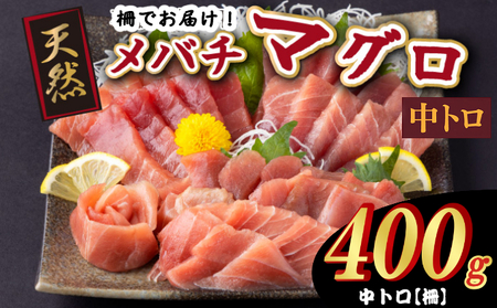 天然メバチマグロ [ 中トロ ]400g(柵) メバチマグロ めばちまぐろ めばち メバチ まぐろ マグロ 鮪 サク 柵 中トロ 天然 マグロ 刺身 お刺身 食べ比べ 海鮮丼 丼 魚 さかな 新鮮 高知 室戸 冷凍 小分け 海鮮