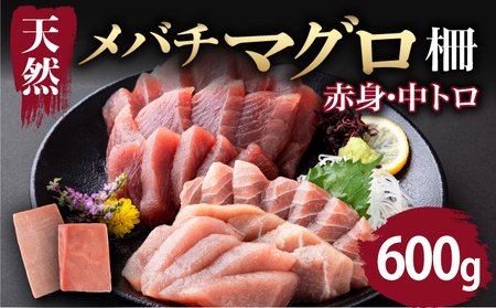 天然 マグロ 中トロ・赤身 柵 600gセット(100g×6pc) サク さく メバチ 天然まぐろ マグロ 鮪 まぐろ 100% 冷凍 刺身 海鮮 丼 刺し身 小分け 高知 室戸 12000円