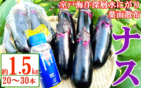 農家直送 土佐の美味茄子の新鮮ナス 1.5kg (室戸海洋深層水にがり使用) 野菜 なす ナス 常温 小袋 国産 夏野菜 茄子 小分け 旬 5000円 高知