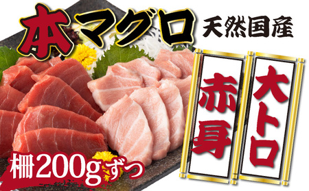 [漁師直送]天然本マグロ 赤身 大トロ 400g 国産 柵 21500