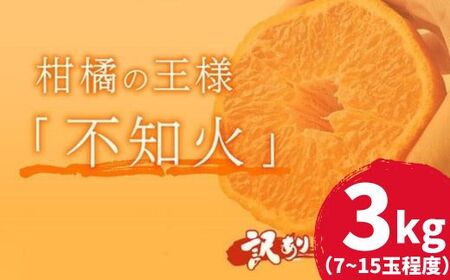 訳ありデコポン 3kg | デコポン岡村農園 追熟デコポン 室戸産デコポン