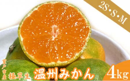 [先行予約]極早生温州みかん 4kg みかん みかん みかん