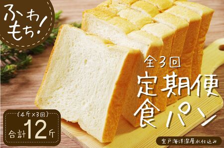 3回定期便 食パンセット 4斤×3回 食パン パンパンパンパン