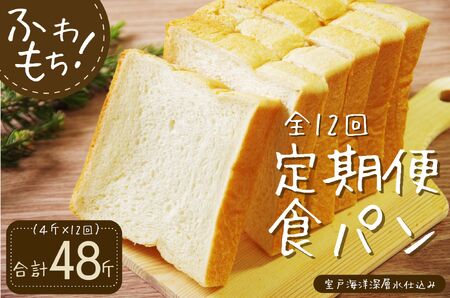 12回定期便 食パンセット[室戸海洋深層水仕込み] 4斤×12回 食パン もちもち ぱん 北海道産小麦使用