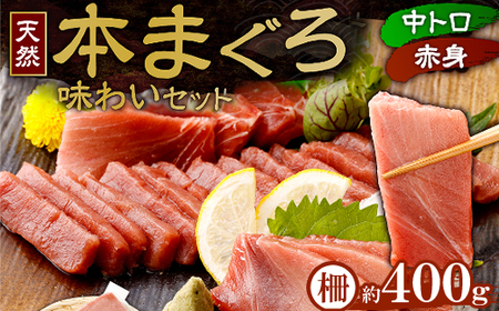 天然本マグロ 赤身 中トロ400g[マグロマグロマグロマグロ]