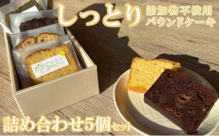 自家製パウンドケーキ 詰め合わせセット カット 個包装 小分け_sc016