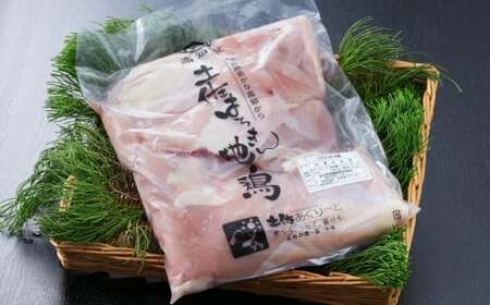 はちきん地鶏むね肉500g | 高知県 ブランド地鶏 鶏肉 とり肉 鳥肉 キャンプ バーベキュー BBQ 焼肉 焼き肉 低カロリー 高タンパク 高たんぱく 高知県 室戸市_ag024