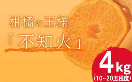 岡村農園直送 不知火 4kg | 数量限定 期間限定 農家直送 大人気 しらぬい 柑橘 デコポン 贈答用 デコポン ふるさと納税 室戸市 人気 ランキング 上位 みかん ミカン 高知県 室戸市_dp006