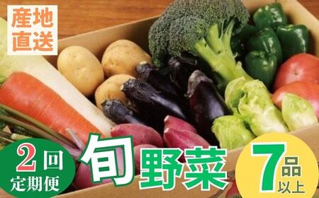 [定期便2回]旬野菜定期便 7品以上 旬野菜定期便 10品 野菜定期便 詰め合わせ定期便 朝どれ野菜定期便 季節 定期便