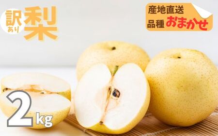 室戸市産の梨2kg 5から8個[梨梨梨梨梨]