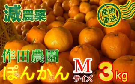 [秀品]作田農園直送!ポンカンMサイズ3kg _ みかん 有機肥料 ポンカン ぽんかん