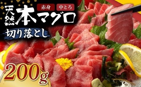 天然本マグロ中トロ 赤身 切り落とし200g[マグロマグロマグロマグロ]