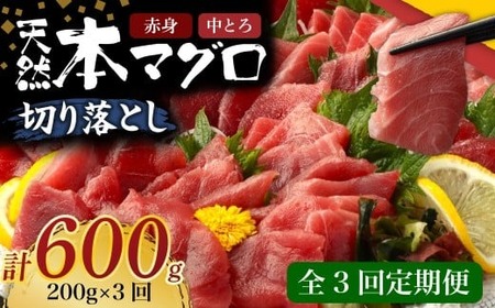 [定期便3回]天然本マグロ中トロ 赤身 切り落とし200g[3回定期便マグロマグロマグロ]
