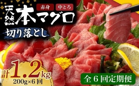 y 6 z VR{}O g Ԑg ؂藎Ƃ 200g (100g×2pbN) 󂠂 }O hg Jpb` ܂똥 ܂Ђ  y CN  HׂTCY ̓ Ⓚ
