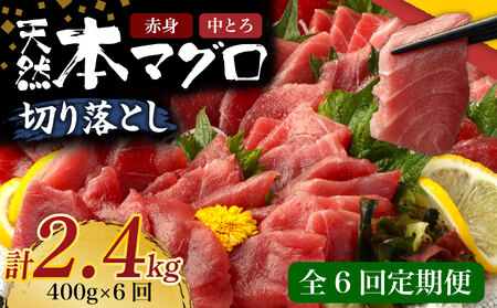 y 6 z VR{}O g Ԑg ؂藎Ƃ 400g (100g×4pbN) 󂠂 }O hg Jpb` ܂똥 ܂Ђ  y CN  HׂTCY ̓ Ⓚ