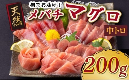 天然メバチマグロ 中トロ200g[マグロマグロマグロマグロ]