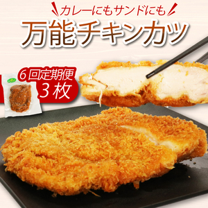 [隔月6回定期便]初音のチキンカツ 3枚 定期便 鶏肉定期便 料理定期便 ちきんかつ カツサンド