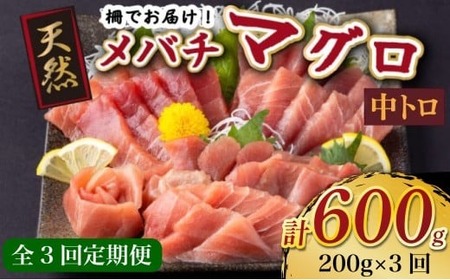 [定期便3回]天然メバチマグロ 中トロ200g[3回定期便マグロマグロマグロ]