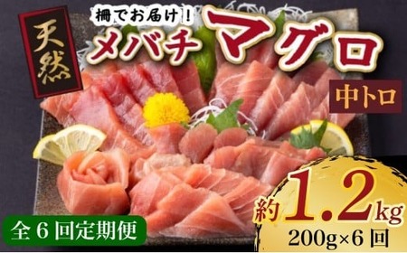 【定期便/計6回】天然メバチマグロ200g（中トロ）【まぐろまぐろまぐろまぐろまぐろまぐろまぐろまぐろまぐろ】 tk156