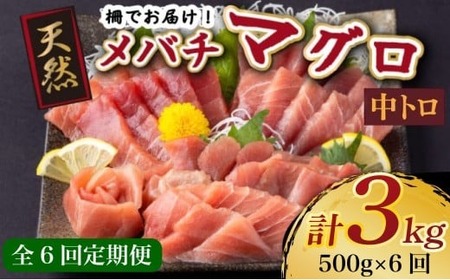 【定期便/計6回】天然メバチマグロ500g（中トロ柵）【まぐろまぐろまぐろまぐろまぐろまぐろまぐろまぐろまぐろ】 tk161