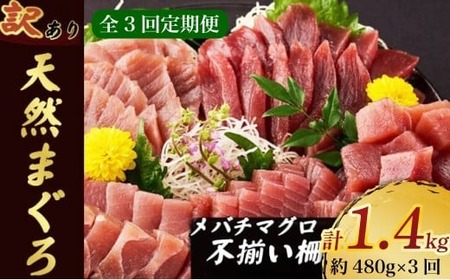 [定期便3回]天然メバチマグロ訳あり480g[3回定期便マグロマグロマグロマグロ]