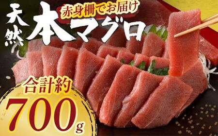 天然本マグロ 赤身柵 約700g [マグロマグロマグロマグロマグロ]