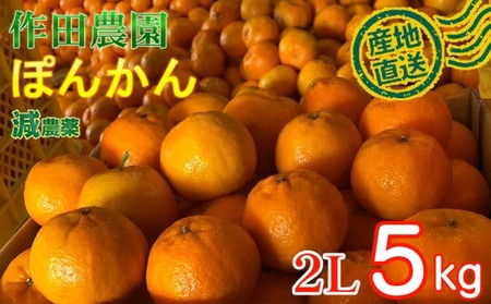 [秀品]作田農園直送!ポンカン2Lサイズ5kg _ [みかんみかんみかんみかんみかん]